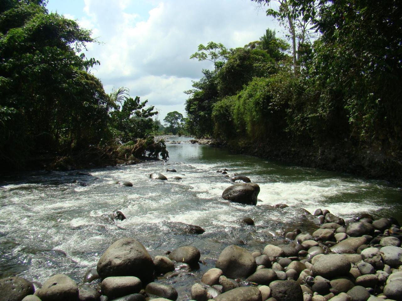 Sarapiquí Horquetas River Lodge المظهر الخارجي الصورة