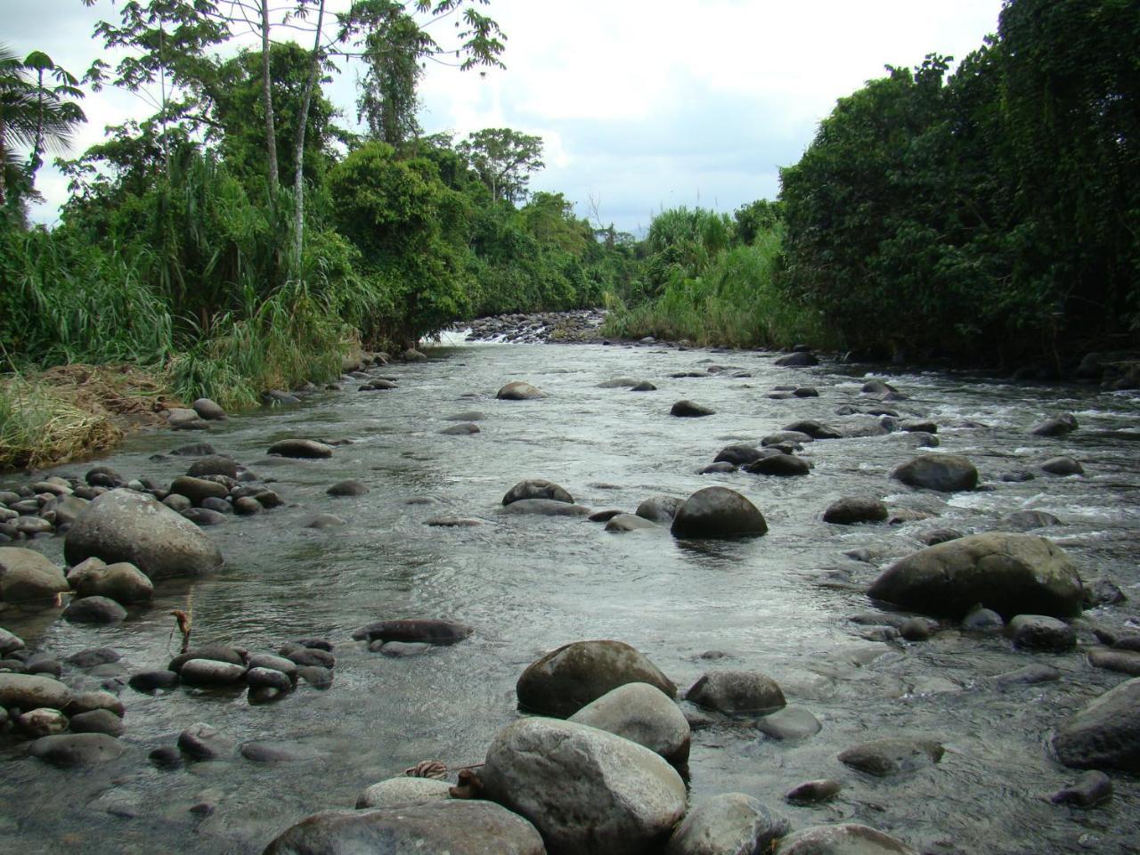 Sarapiquí Horquetas River Lodge المظهر الخارجي الصورة