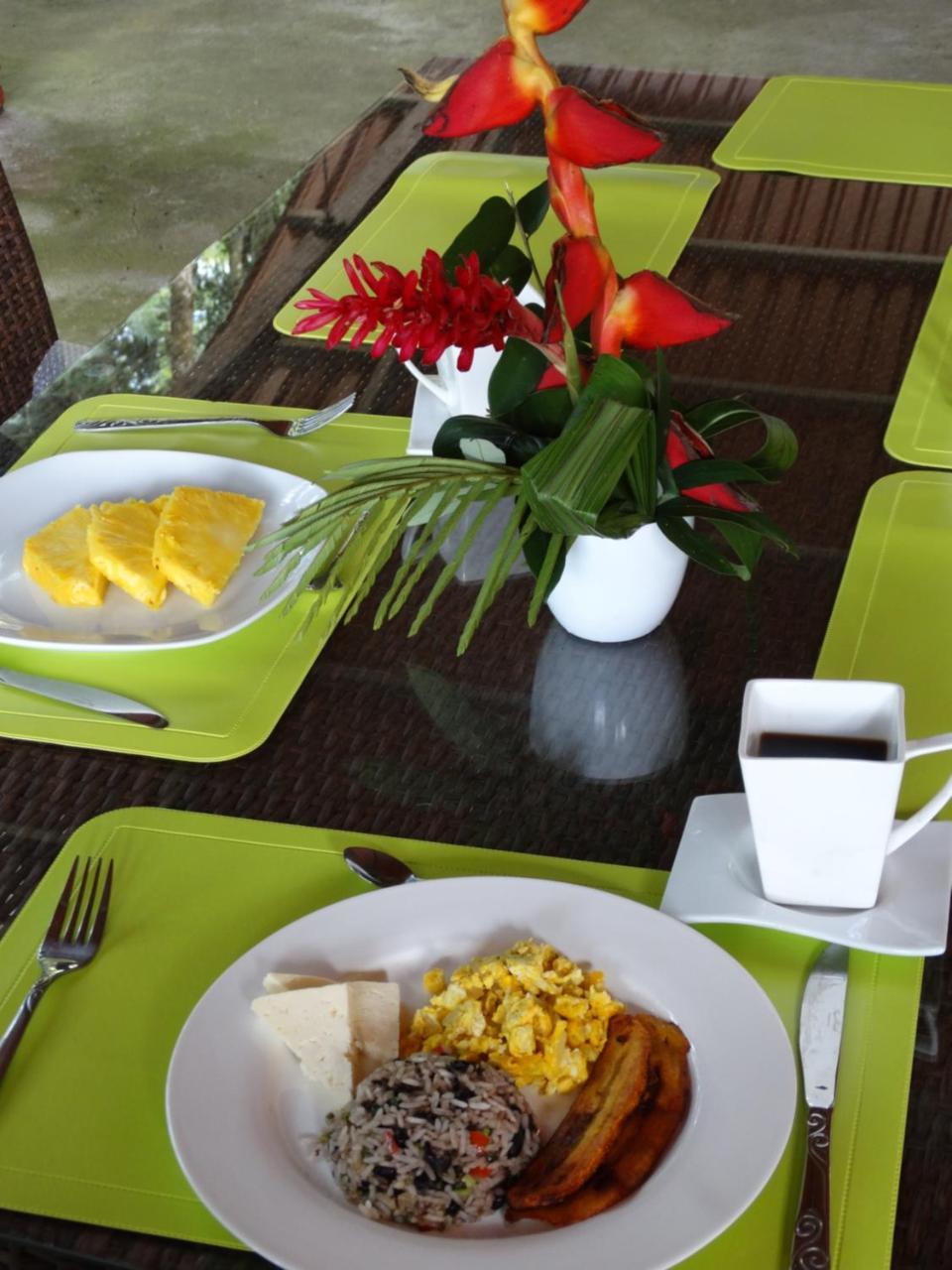 Sarapiquí Horquetas River Lodge المظهر الخارجي الصورة