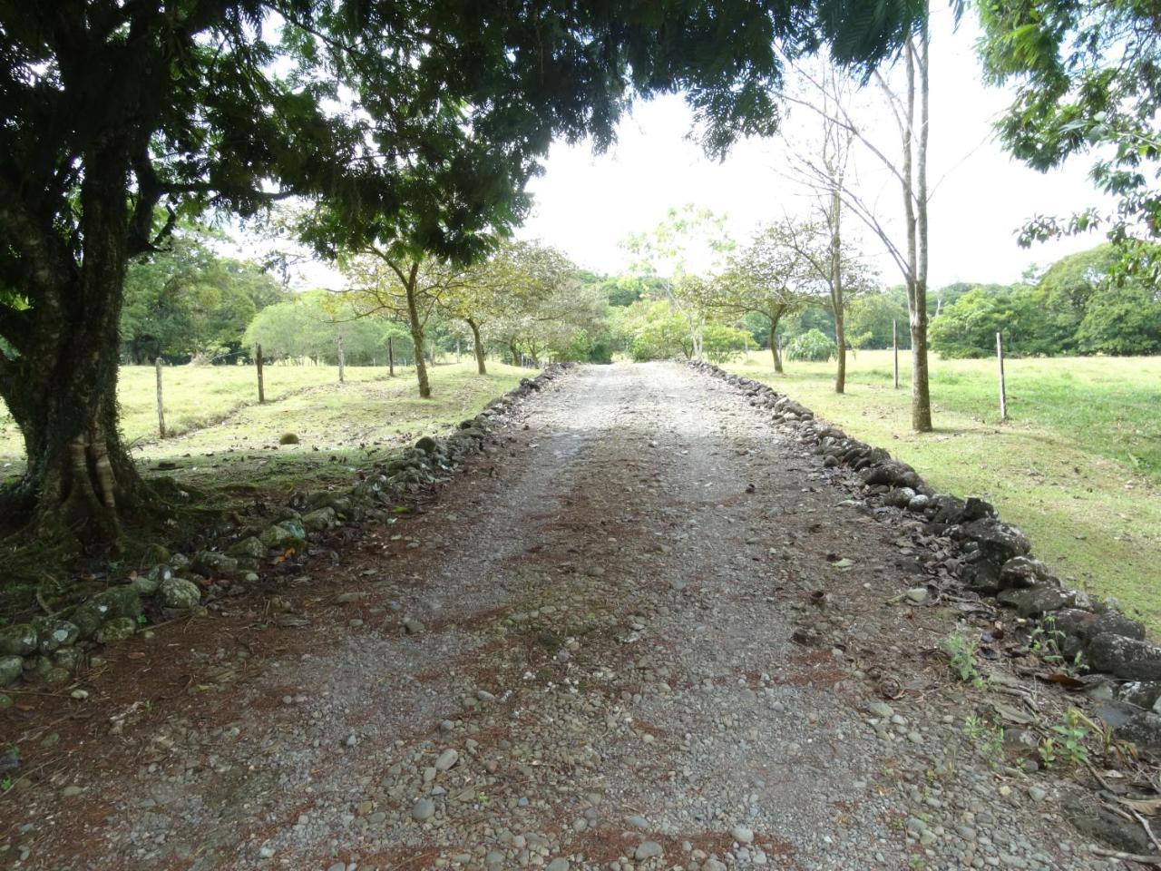 Sarapiquí Horquetas River Lodge المظهر الخارجي الصورة