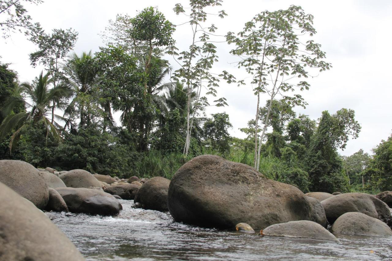 Sarapiquí Horquetas River Lodge المظهر الخارجي الصورة