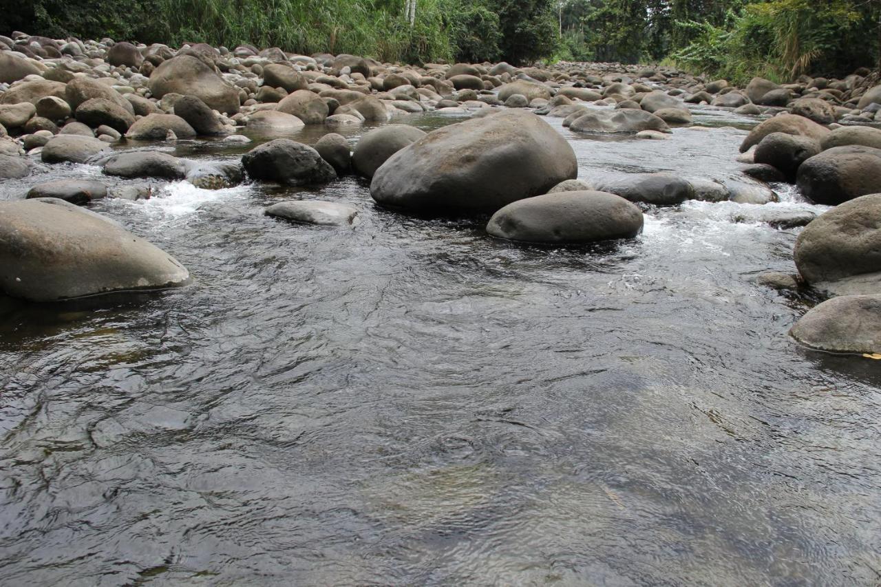 Sarapiquí Horquetas River Lodge المظهر الخارجي الصورة