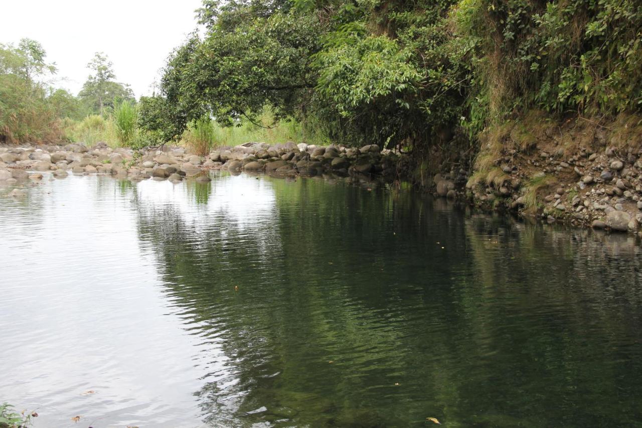 Sarapiquí Horquetas River Lodge المظهر الخارجي الصورة