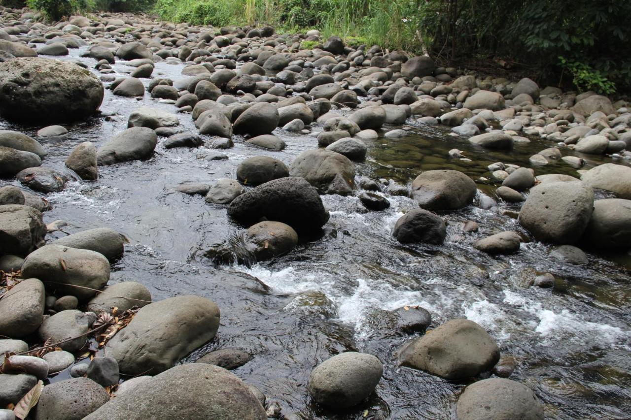 Sarapiquí Horquetas River Lodge المظهر الخارجي الصورة