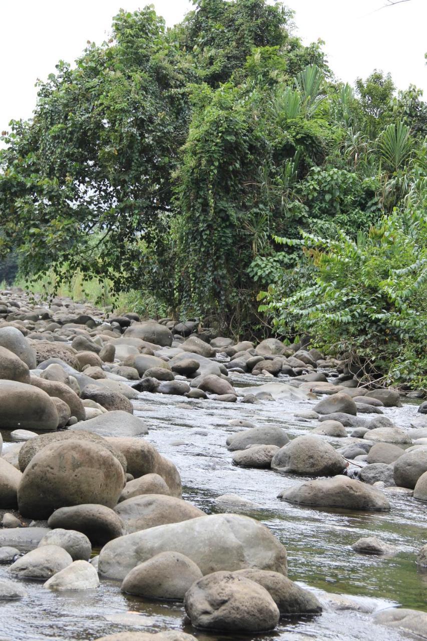 Sarapiquí Horquetas River Lodge المظهر الخارجي الصورة
