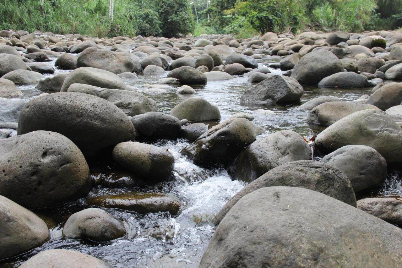 Sarapiquí Horquetas River Lodge المظهر الخارجي الصورة