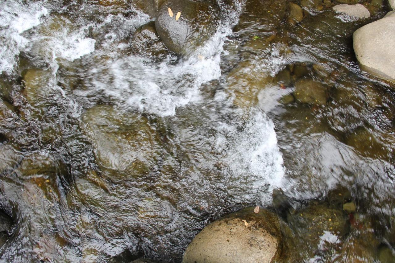 Sarapiquí Horquetas River Lodge المظهر الخارجي الصورة