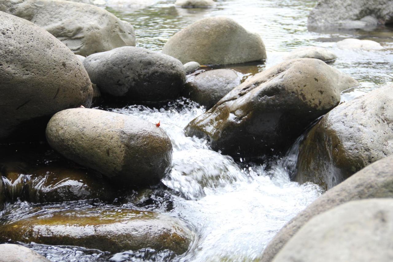 Sarapiquí Horquetas River Lodge المظهر الخارجي الصورة